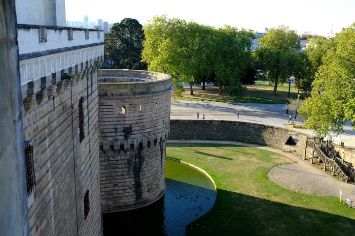 Nantes La Jolie | Nantes v Reims - Gustave le populaire - La Beaujoire