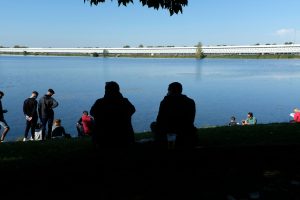 stade rené gallice groundhopping